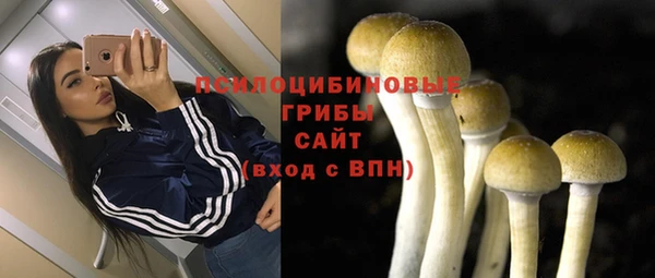 хмурый Белоозёрский