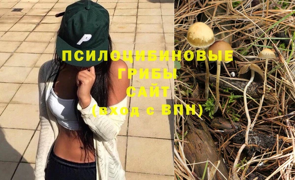 гашиш Белокуриха