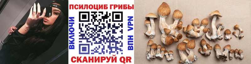 Галлюциногенные грибы Magic Shrooms  Горячий Ключ 