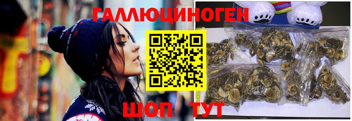 Горячий Ключ  Псилоцибиновые грибы GOLDEN TEACHER  Вход с VPN 